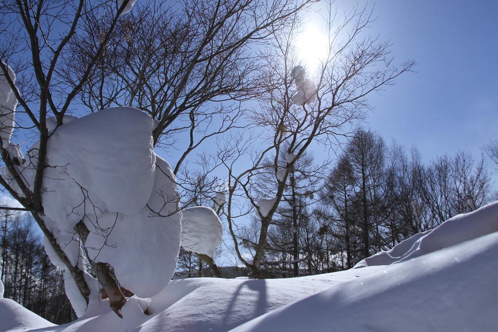 Niseko Freedom Inn Kutchan Chambre photo